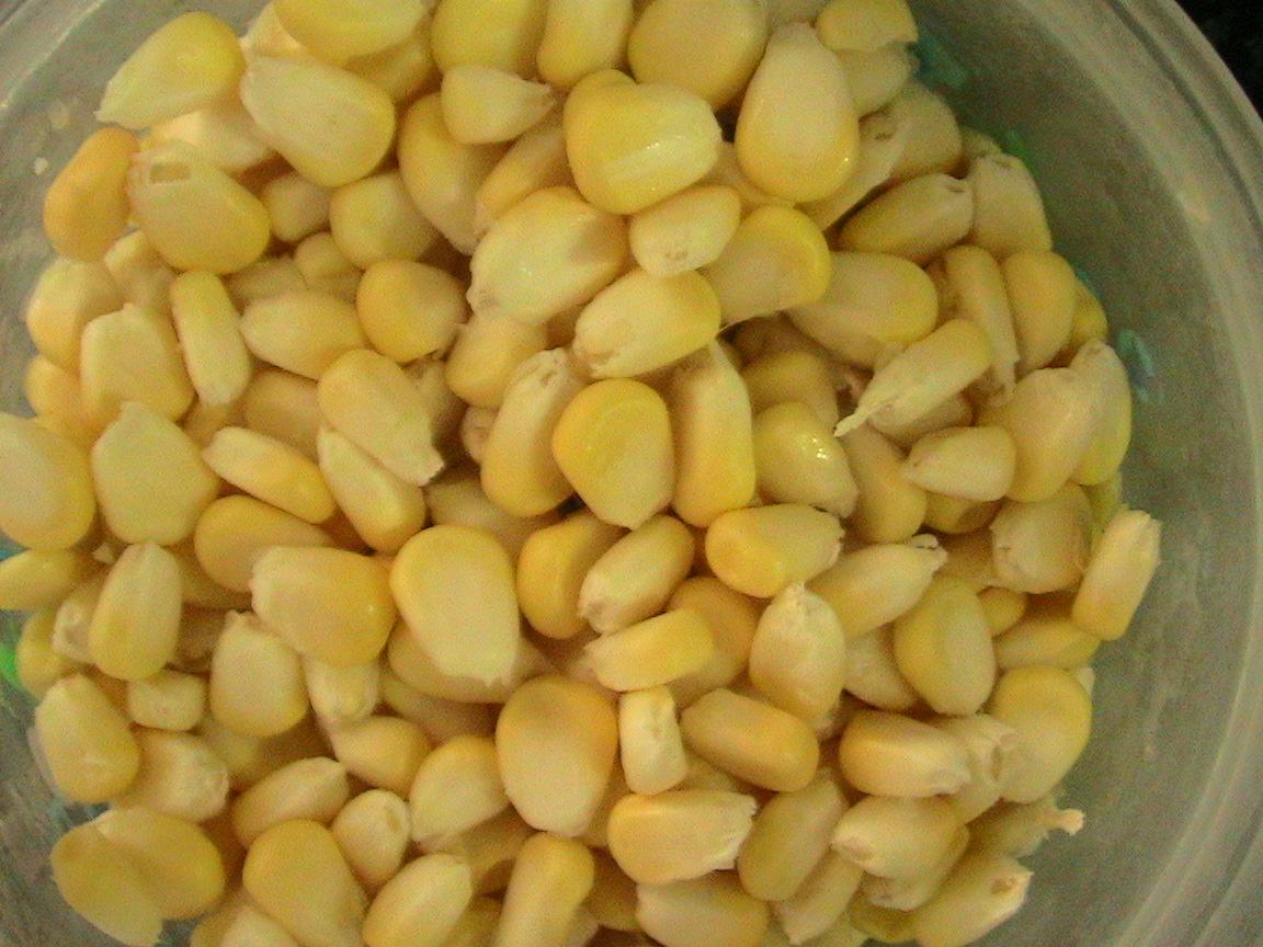 Pescuit :) - img0984.JPG